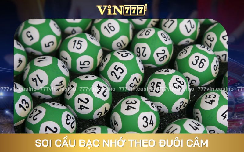 Bắt cầu bạc nhớ hiện đại không thể chuẩn hơn với lô đuôi câm