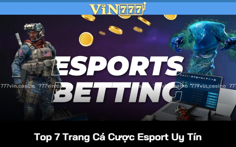 Top 7 Trang Cá Cược Esport Uy Tín, Ấn Tượng Dành Cho Cược Thủ  